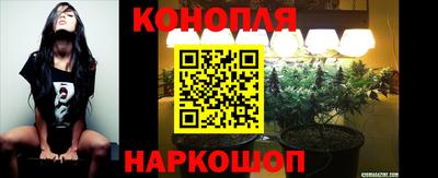 дмт Тула