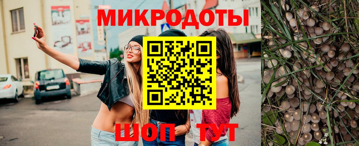 Галлюциногенные грибы Psilocybine cubensis  Вход с VPN  Горно-Алтайск 