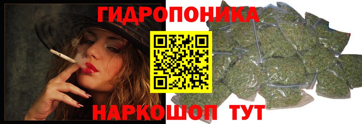A PVP Горно-Алтайск